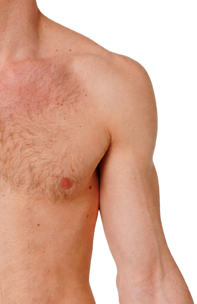 Shoulder anatomy diagram